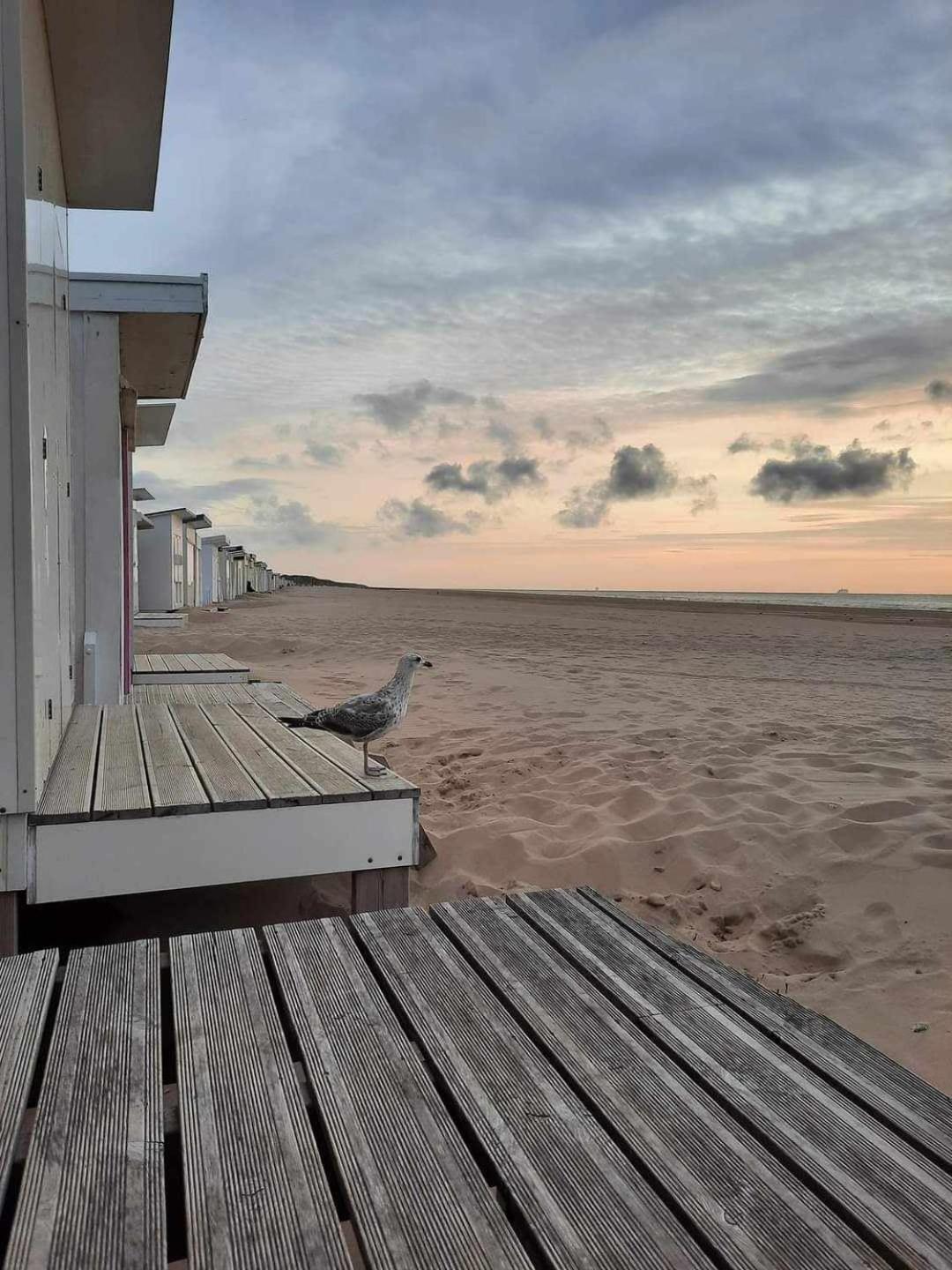 Calais Plage-Gare Appartement Elegant Tout Equipe エクステリア 写真